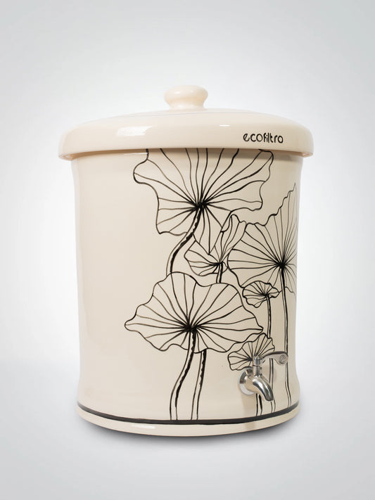 Cartucho Ceramic Ecofilter