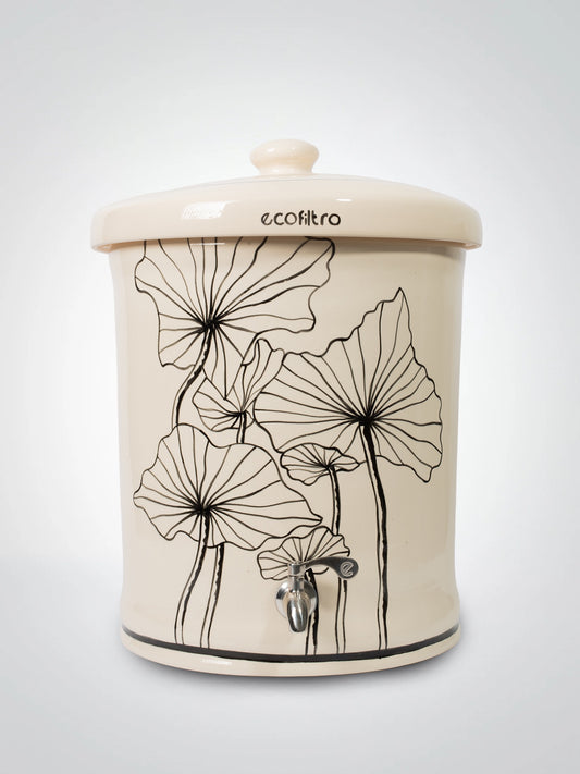 Cartucho Ceramic Ecofilter